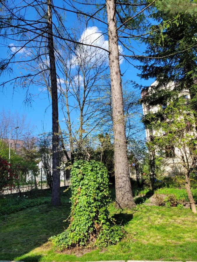 Cichy Apartament W Centrum Nowy Sącz Dış mekan fotoğraf